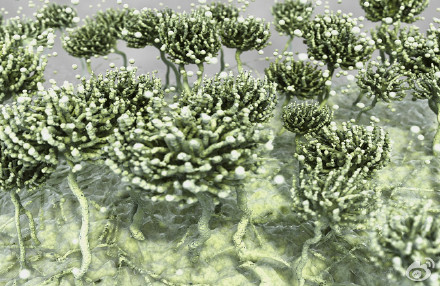 食品安全檢測儀器，水分儀，固含量，肉類水分儀，ATP熒光,農(nóng)藥殘留，藥物殘留.深圳市芬析儀器制造有限公司